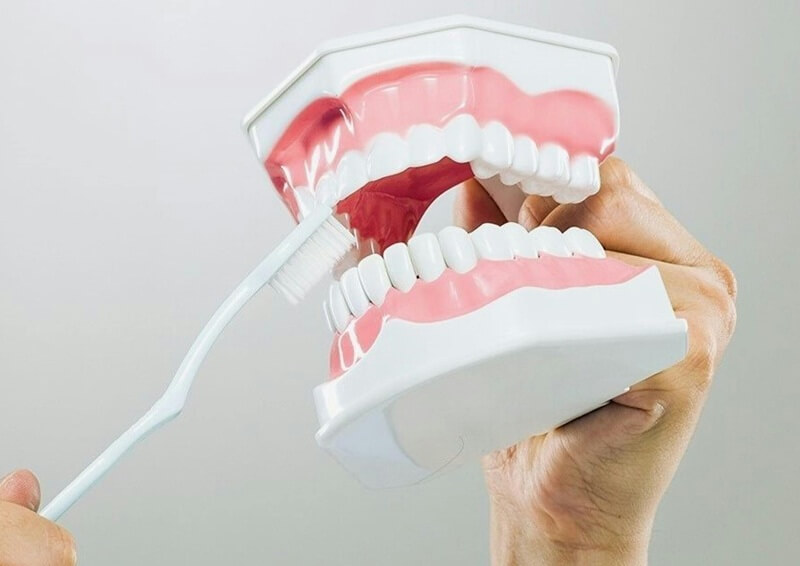 Teeth Cleaning